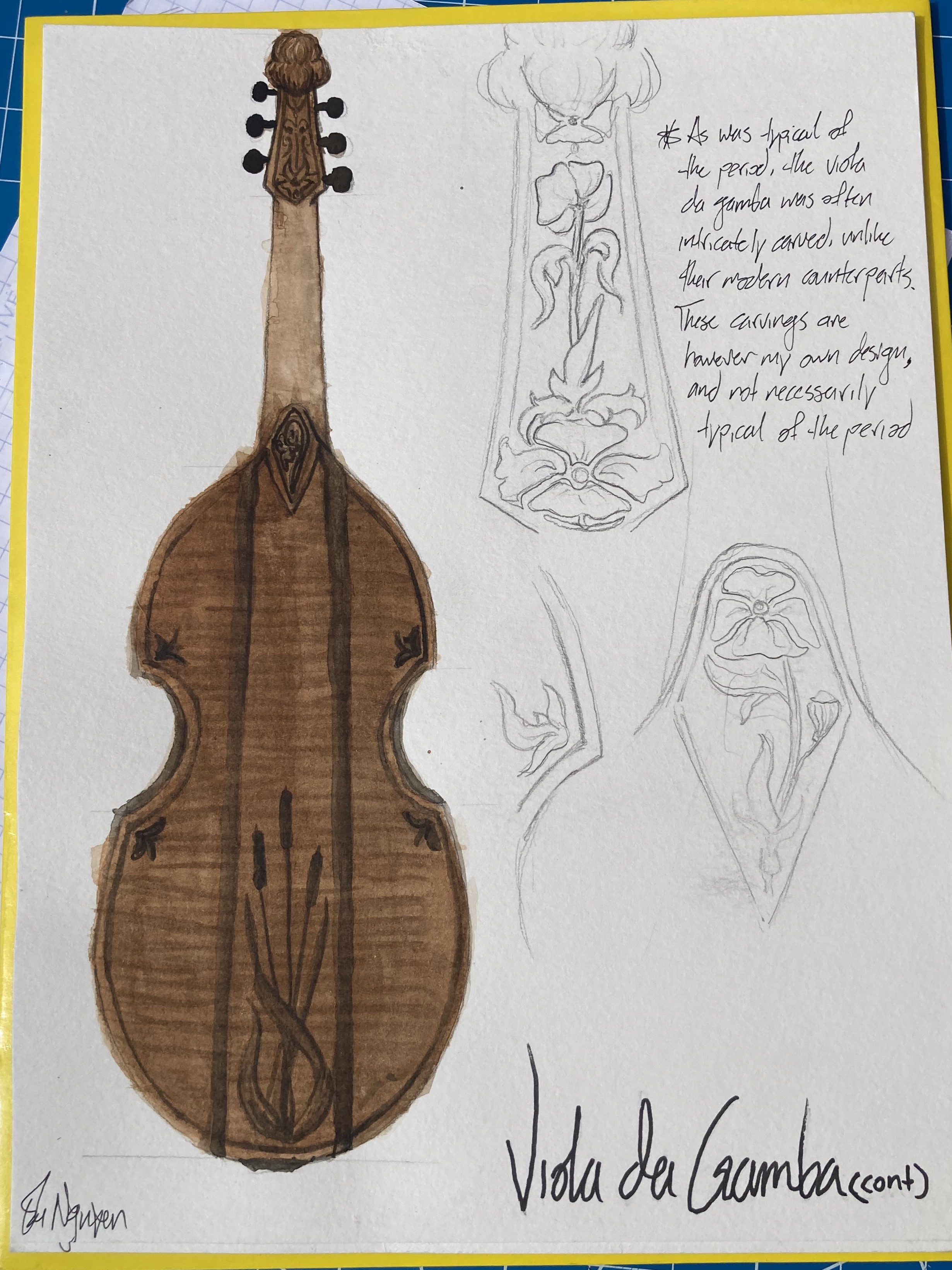 Study of a viola de gamba from the reverse side of the instrument