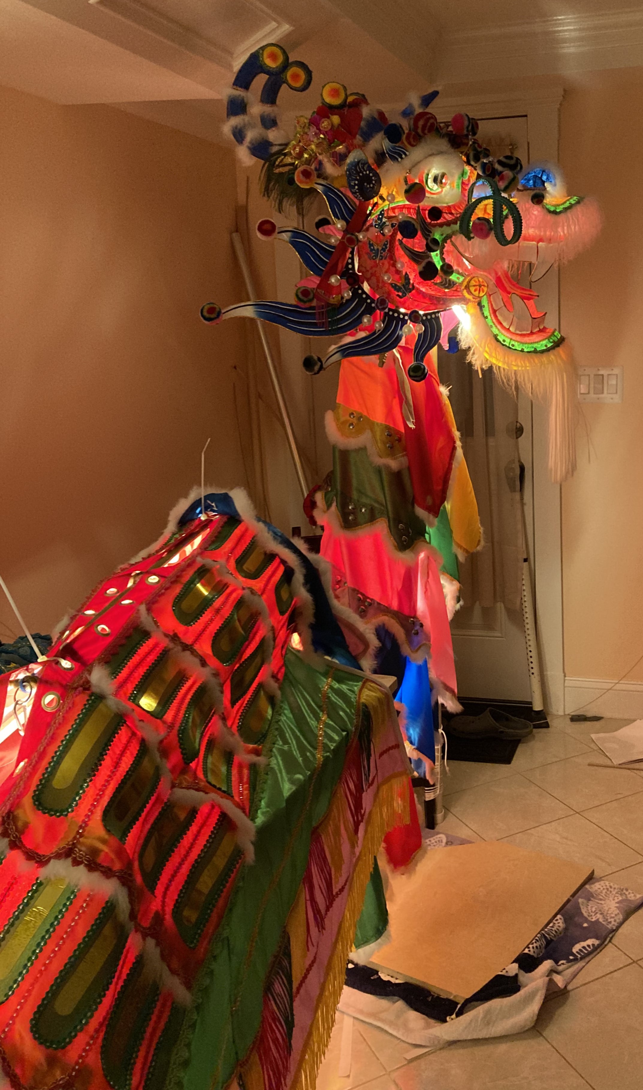 picture of the dragon showing the head, neck and body